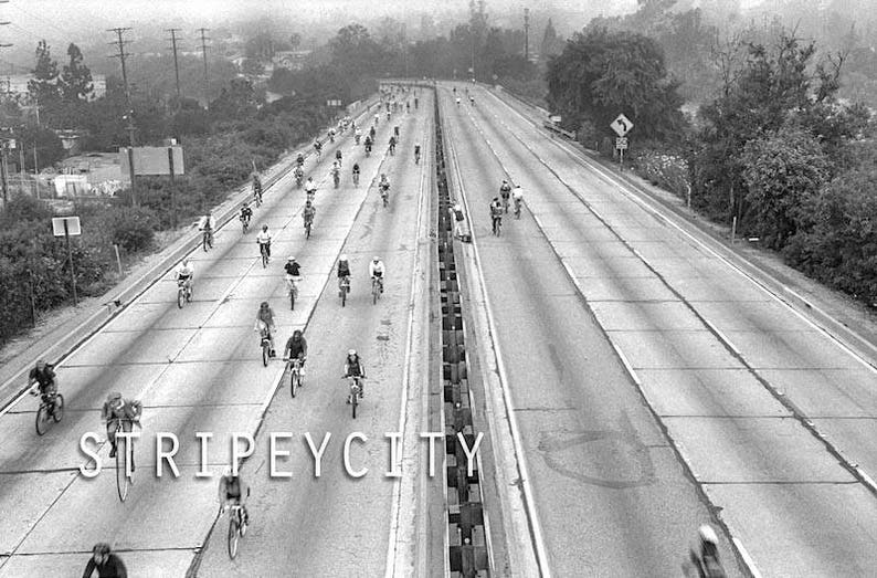 Cycling the Freeway/ Original Los Angeles Photography image 1