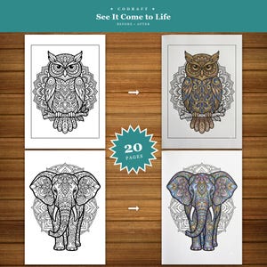 20 kleurplaten met dierenmandala's, dikke lijnen, rustgevende ontwerpen (digitale download)