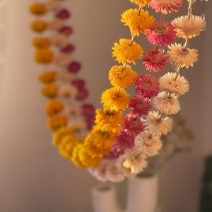 Guirnalda de siemprevivas / Adorno de pared de flores secas eternas para bodas bohemias y decoración del hogar.