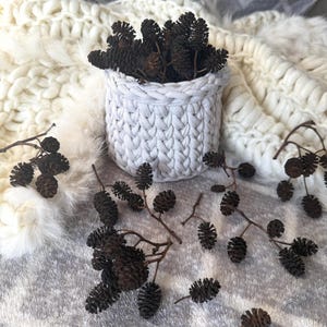 Puede incluir: Una cesta de ganchillo blanca llena de pequeños conos de aliso de color marrón oscuro. Varias ramas de conos de aliso adicionales están esparcidas alrededor de la base de la cesta, mostrando su aspecto leñoso y texturizado y su color marrón oscuro natural.