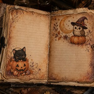 May include: An open journal with aged, deckle-edged paper featuring horizontal lines. The left page displays a black kitten inside a carved jack-o'-lantern. The right page shows an owl wearing a witch hat perched on a pumpkin beneath a crescent moon.