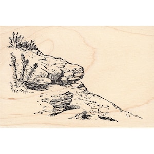 May include: A black and white line drawing of a rocky cliff with some small plants growing on the side.