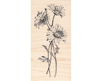 Field Daisies 1331M Beeswax Rubber Stamps Unmounted, Cling, Mounted Stamp Scenic, Landscape Stamping