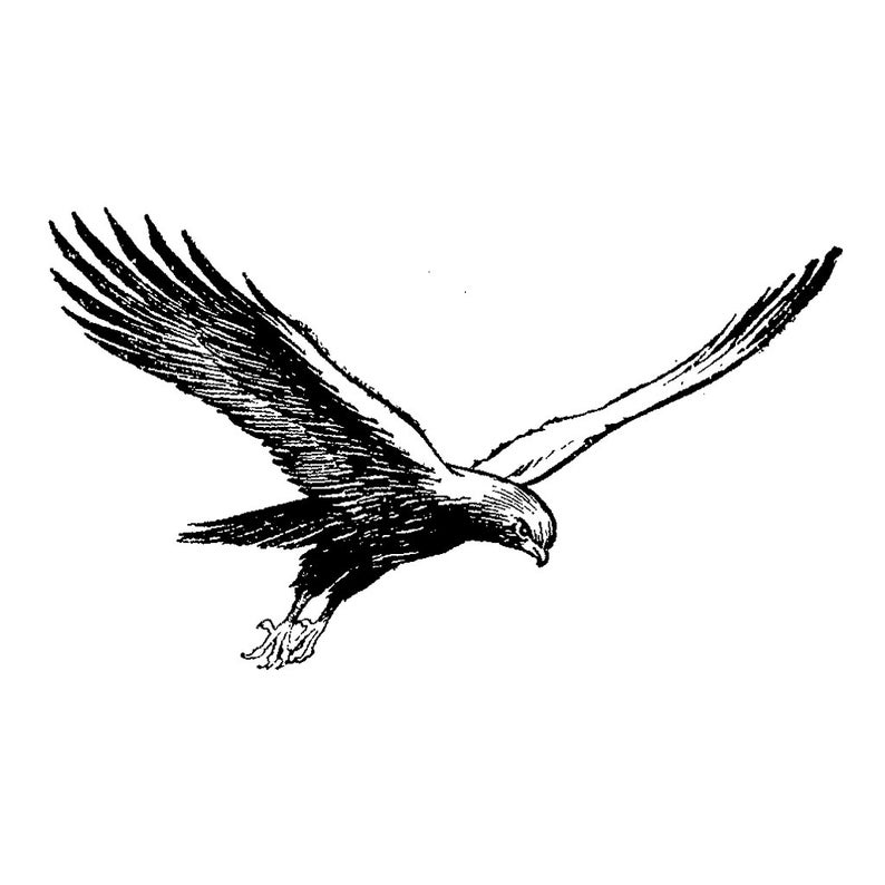 Eagle 192G Bird Rubber Stamp Scenic Animal Landscape Stamping