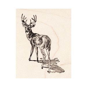 Stag in Snow 1662G Beeswax Rubber Stamps Unmounted, Cling, Mounted Stamp Scenic, Animals, Nature Stamping