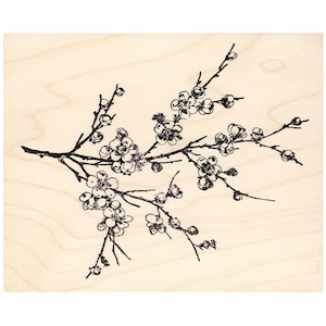 Almond Branch 1286M Beeswax Rubber Stamps Unmounted, Cling, Mounted Stamp Scenic, Landscape Stamping