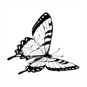 Tiger Swallowtail 1610H Butterfly Rubber Stamp, Insect, Animal, Wildlife, Nature Stamping
