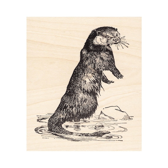 Top View Turtle Beeswax Rubber Stamp Mounted Reptiles Animals Wildlife Nature