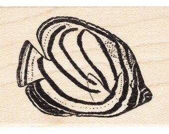 May include: Black and white line drawing of a butterfly fish. The fish is facing to the right and has a long, thin body with a large, rounded fin.