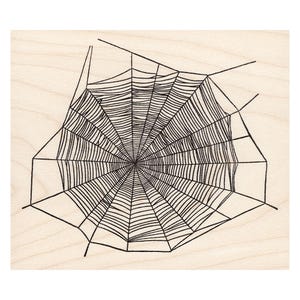 May include: A black and white illustration of a spider web on a wooden background.