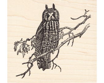 Watching Owl 434K Bird Rubber Stamp, Animal, Scenic, Landscape Stamping