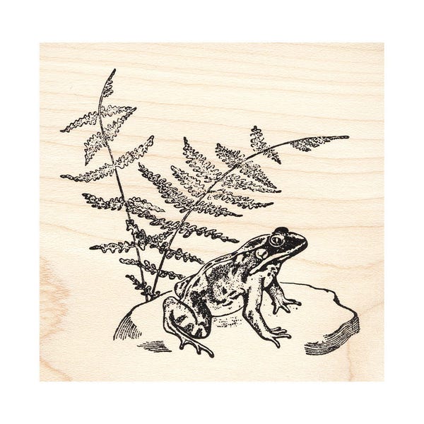 Frog on a Rock 1490K Beeswax Rubber Stamps Unmounted, Cling, Mounted Stamp Animal, Nature Stamping