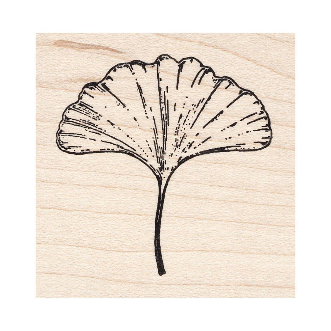 Smooth Ginkgo Leaf 1535G Beeswax Rubber Stamps Unmounted, Cling