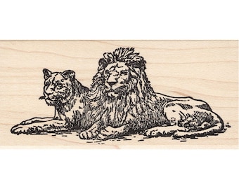 May include: A black and white line drawing of a lion and lioness lying down side by side.