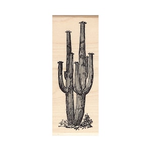 Cactus du désert 873I Tampons en caoutchouc cire d'abeille non montés, adhésifs, montés Tampon scénique, estampage paysage