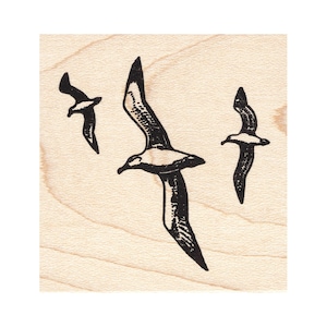 May include: Three black silhouette albatross birds in flight against a light wood background.