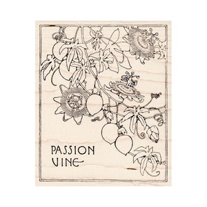 Passion Flower Stamp– Rubber Stamp Plantation