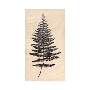 Feuille de fougère traditionnelle 833K Fern Rubber Stamp, Nature, Plante, Pittoresque, Paysage Estampage