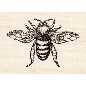 Grande abeille 1604 g Tampons en caoutchouc abeille non montés, autocollants, montés, animaux, faune, estampage nature