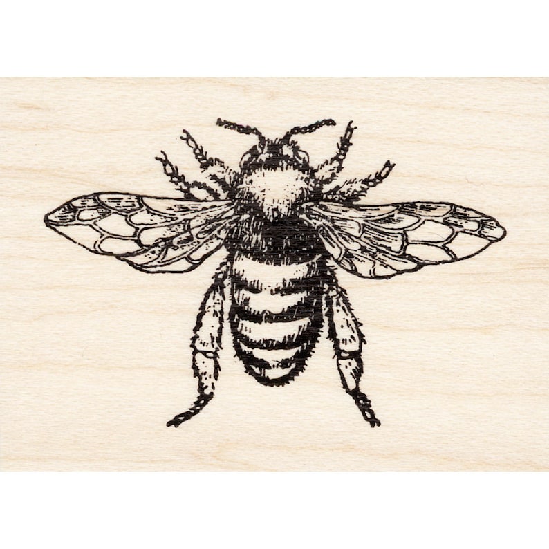 Large Honey Bee 1604G Bee Rubber Stamps Unmounted Cling Etsy Canada