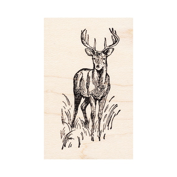 Leopard Moth 1708G Beeswax Rubber Stamps Unmounted Nature Cling Animals Stamping Mounted Stamp Scenic