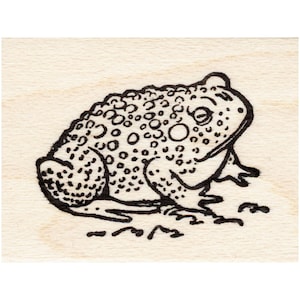 Small Toad 1651C Beeswax Rubber Stamps Unmounted Cling, Mounted Stamp Animal, Nature Stamping