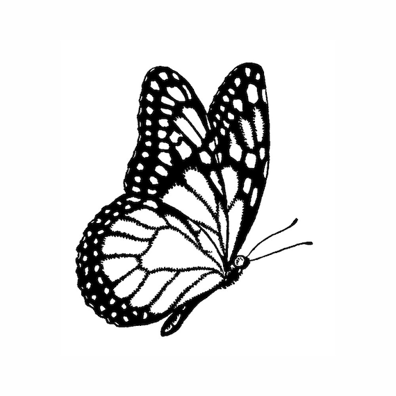 Tampon B - Papillon - Tampon Et Encres