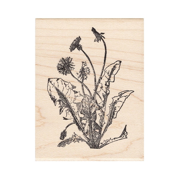 Sellos de cera de abejas (planta de diente de león, 1293J) sin montar, adhesivos y montados, con motivos paisajísticos.