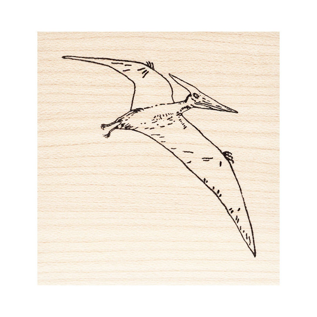 Pterodactyl-dinosaur-large or Small Wood Block Mounted Rubber