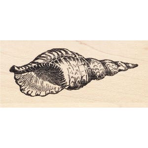 Single Shell 1284G Beeswax Rubber Stamps Unmounted, Cling, Mounted Stamp Collage Stamping
