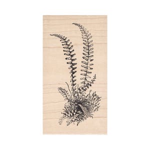 Hill Fern 1099K Tampons en caoutchouc en cire d’abeille non montés, Accrochés, Tampon monté Scénique, Emboutissage paysager