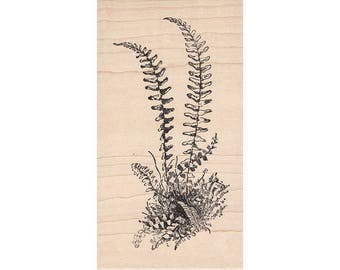 Hill Fern 1099K Beeswax Rubber Stamps Unmounted, Cling, Mounted Stamp Scenic, Landscape Stamping