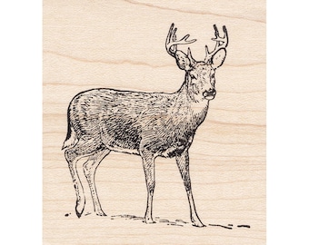 Buck in Snow 1212G Beeswax Rubber Stamps Unmounted, Cling, Mounted Stamp Animal, Wildlife, Nature Stamping