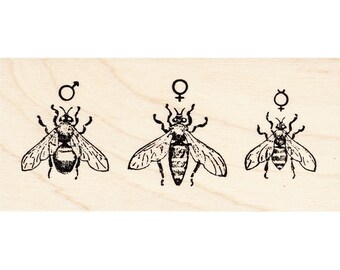 Castes of Honey Bees 1606I Beeswax Rubber Stamps Unmounted, Cling, Mounted Stamp Animal, Wildlife, Nature Stamping