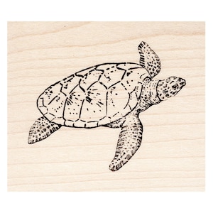 May include: A black and white line drawing of a sea turtle on a light wood background.