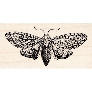 Leopard Moth 1708G Beeswax Rubber Stamps Unmounted, Cling, Mounted Stamp Scenic, Nature, Animals Stamping