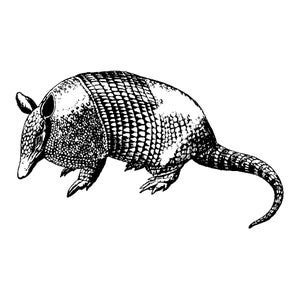 Armadillo 1768G Beeswax Rubber Stamps Unmounted, Cling, Mounted Stamp