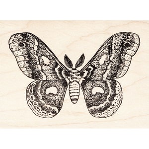 Leopard Moth 1708G Beeswax Rubber Stamps Unmounted Nature Cling Animals Stamping Mounted Stamp Scenic