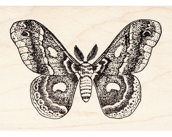 Könnte beinhalten: Eine Schwarzweißillustration eines Nachtfalters mit großen Flügeln und filigranen Details. Der Falter hat einen markanten Körper und gefiederte Fühler.