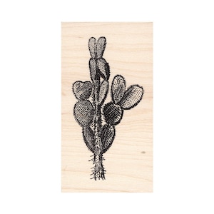Figue de Barbarie Cactus 627I Tampons en caoutchouc cire d'abeille non montés, adhésifs, montés Tampon Paysages, Estampage