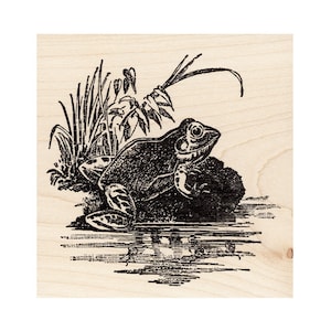 Pond Frog 882K Beeswax Rubber Stamps Unmounted, Cling, Mounted Stamp Animal, Nature Stamping
