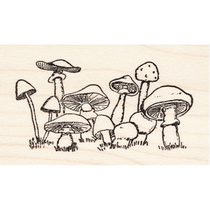 Mushrooms & Toadstools 1679E Beeswax Rubber Stamps Unmounted, Cling, Mounted Stamp, Nature, Scene Scenic Stamping