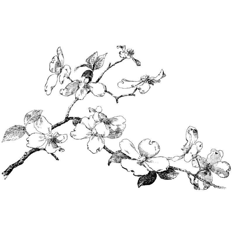 Landscape Stamping Floral Branch 1334LBeeswax Rubber Stamps Unmounted Mounted Stamp Scenic Cling