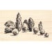 Group of Trees 1545K Beeswax Rubber Stamps Unmounted, Cling, Mounted Stamp Scenic, Landscape Stamping 