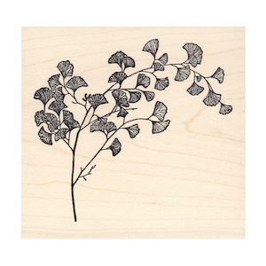 Ginkgo Branch 742M Beeswax Rubber Stamps Unmounted, Cling, Mounted Stamp Scenic, Landscape Stamping