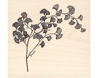 Ginkgo Branch 742M Beeswax Rubber Stamps Unmounted, Cling, Mounted Stamp Scenic, Landscape Stamping