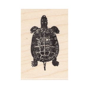 Top View Turtle 1025D Beeswax Rubber Stamps Unmounted, Cling, Mounted Stamp Animal, Nature Stamping