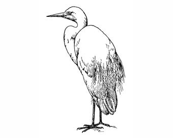 Snowy Egret 1746G Bird Rubber Stamp, Stamp Scenic, Animals, Nature Stamping