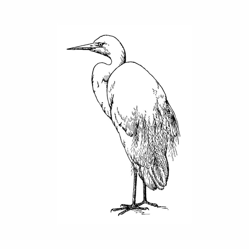 Stamp Scenic Nature Stamping Snowy Egret 1746G Bird Rubber Stamp Animals