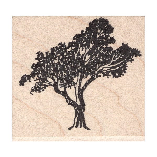 Small Tree 548C Beeswax Rubber Stamps Unmounted, Cling, Mounted Stamp Scenic, Landscape Stamping
